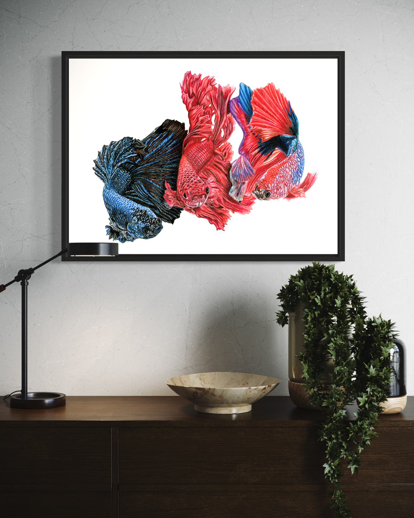 Betta Fish